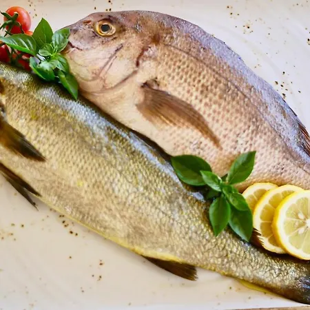 Elani Bay 4* סיווירי