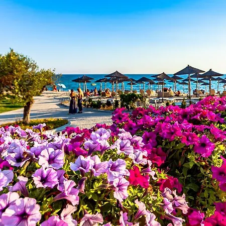 Elani Bay Siviri
